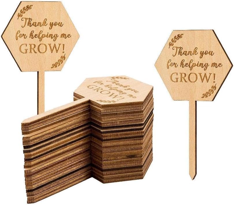 20Pcs Thank You for Helping Me Grow Succulent Tags Teacher Appreciation Gifts, Hexagon Plant Stakes Labels Gift for Mother's Day Christmas Thanksgiving Baby Shower