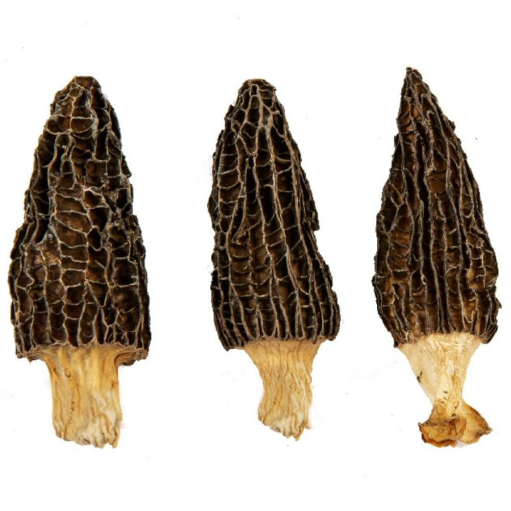 BUSOTH Wild Dried Morel Mushrooms,Morchella Conica with Tender and Delicious Meat,Dry Morel Mushrooms Rich in Nutrients,Dehydrated Mushrooms Suitable for Vegetarians. (100 Gram)