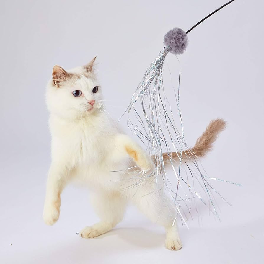 小物 necoco necoco｜おもちゃ | Petio[ペティオ]