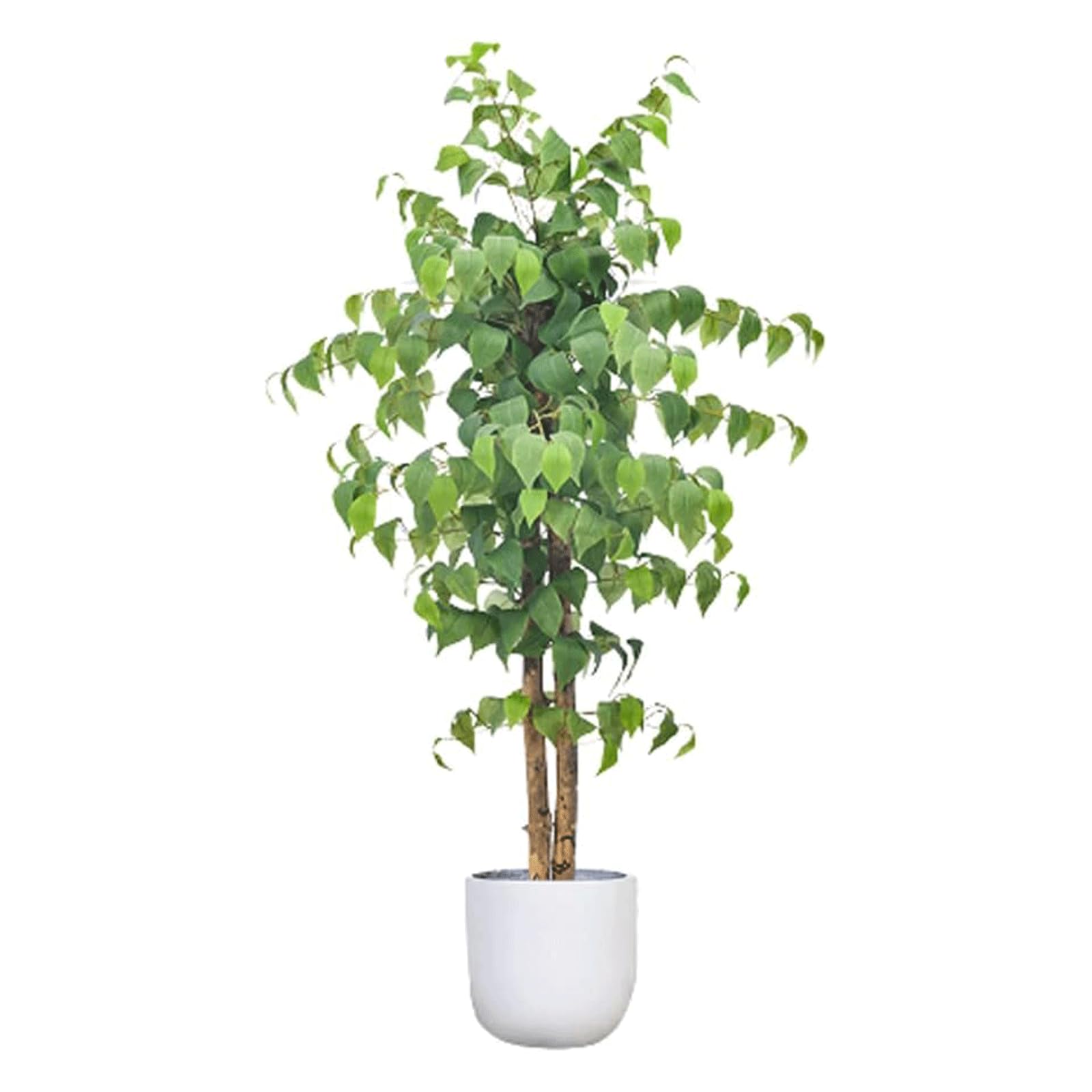 HCZKIUJY 3.93ft Artificial Tree Gorgeous Fake Tree Indoor Outdoor Decoration Artificial Plant Realistic Faux Plant Housewarming Gift