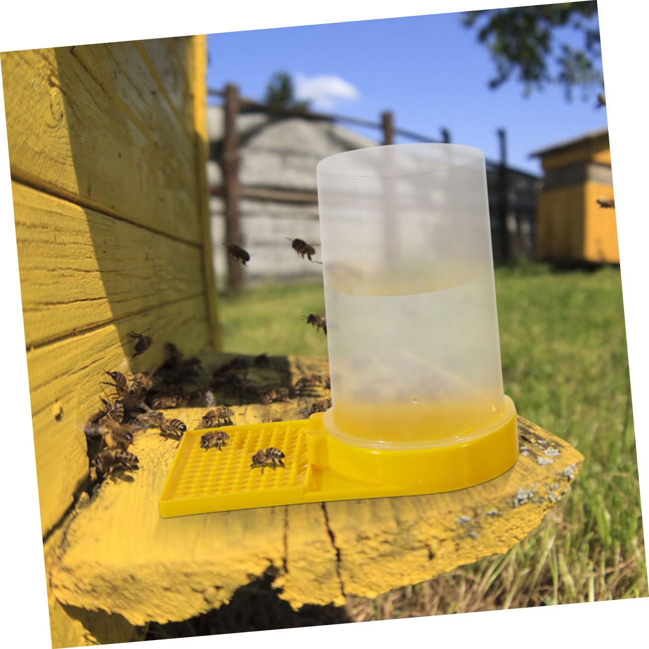 6 Abreuvoirs à Eau Pour Abeilles – Installation Facile à L’entrée De La Ruche, Permet De Surveiller Les Niveaux Sans Déranger - 8