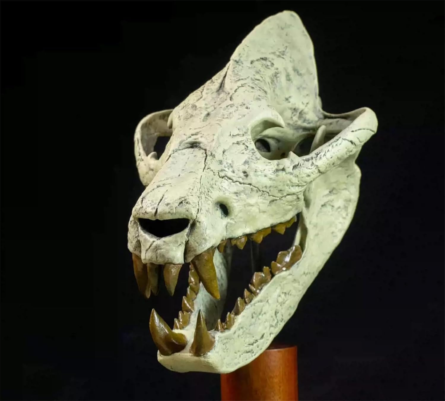VWUVWU Megistotherium Osteothlastes Skull Figure Hyaenodontidae Realistic Skeleton Animal GK Decor Resin Model Gift for Adult