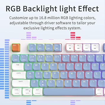 Coverzone AJAZZ AKP815 75% Low Profile Mechanical Keyboard, 4.33' LED Touch Screen, Programmable RGB Gasket Wired Keyboard, 16 Keys Special Table Controller (Blue White - Red Switch)