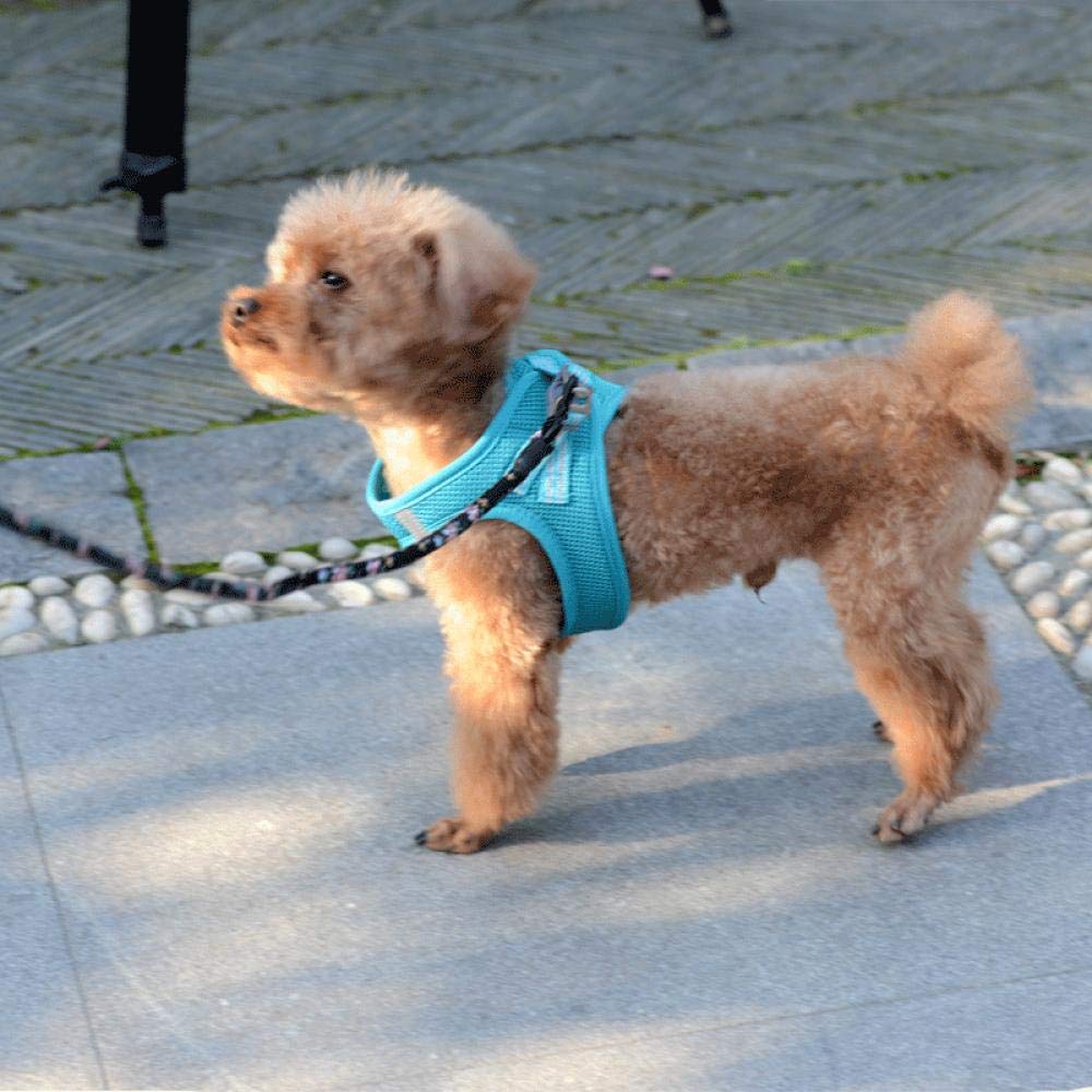 犬 ジャージ ネイビー グリーン 2L 2枚セット 【試着のみ美品】 楽天市場】犬服 ジャージ 体育ジャージ つなぎ おもしろ ロンパース