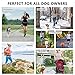 Hands Free Dog Leash, Waist Running Leash with Zipper, Walking Pouch for Medium Large Dogs, Dual Handle and Retractable Bungee for Training Jogging Hiking