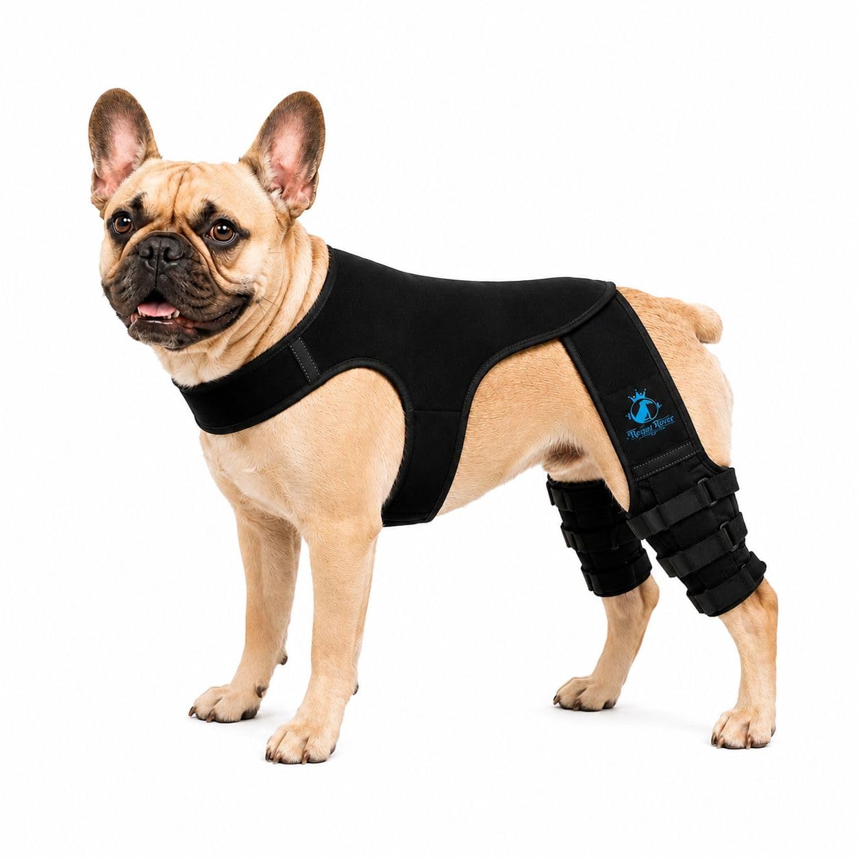 Photo 1 of The Regal Rover Dog Rear Knee Brace for Small & Medium Breeds, Adjustable Hind Leg Support for ACL/CCL Injury Recovery, Joint Stability, Ligament Protection & Injury Prevention (S)