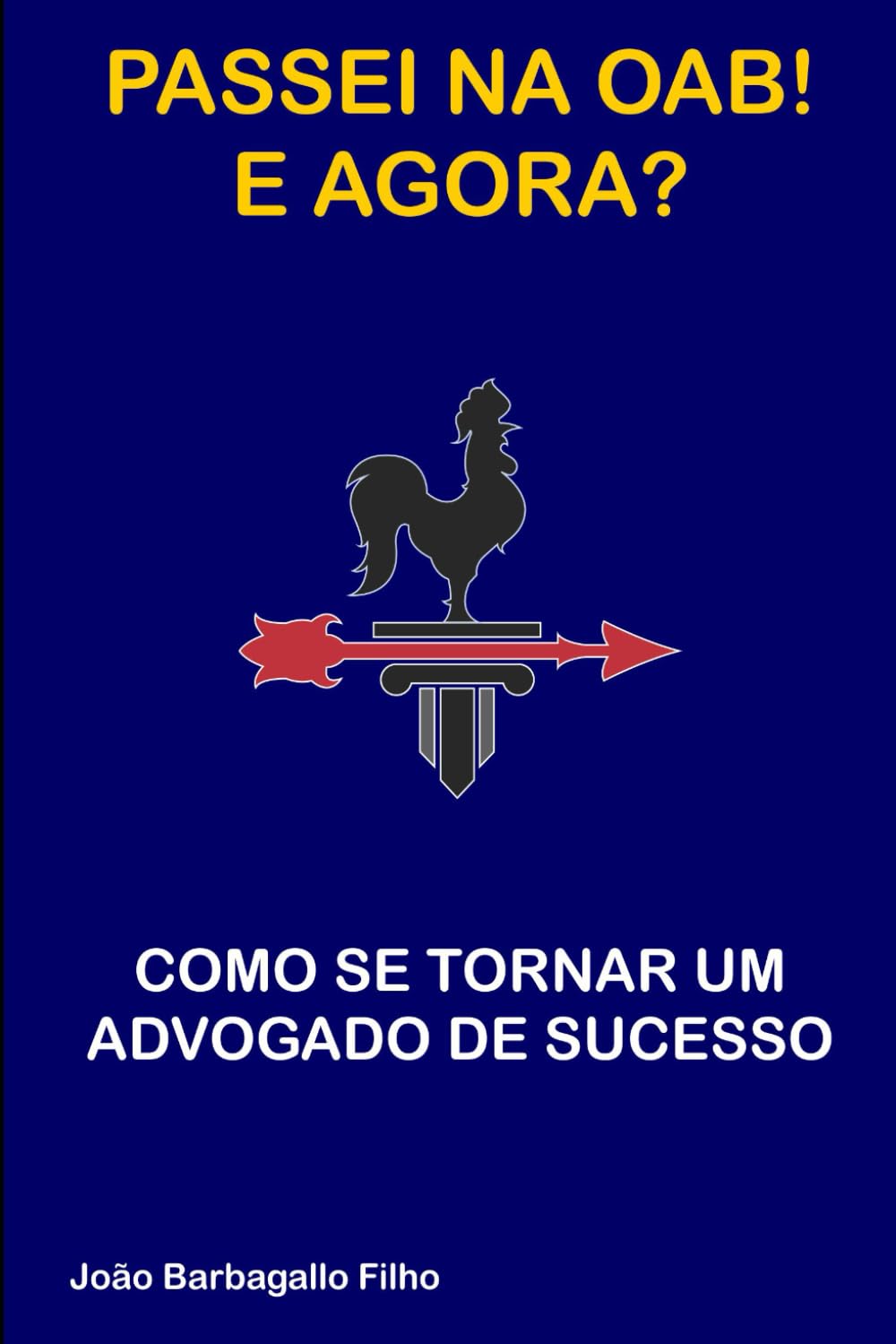 PASSEI NA OAB! E AGORA?: Como se Tornar (me Tornei) um Advogado de Sucesso