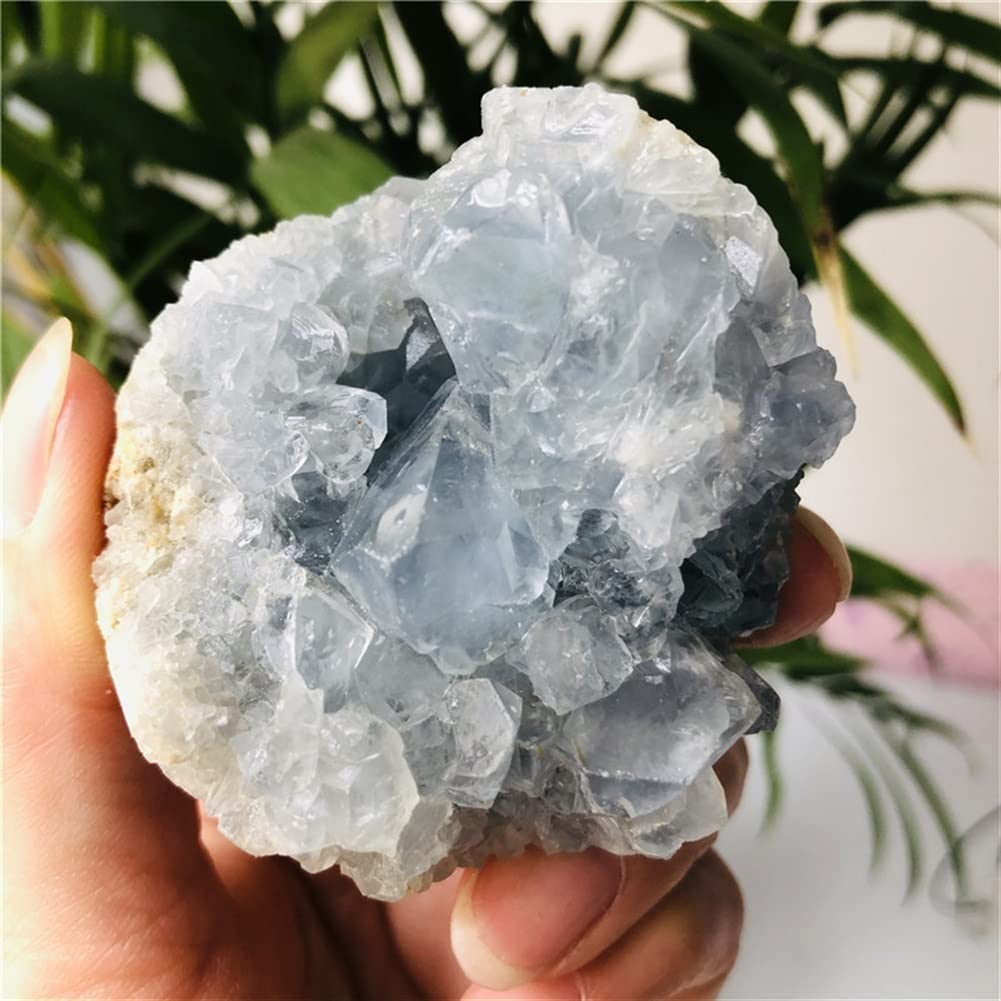 Decoración del hogar, geoda de celestita Natural, racimo de Cuarzo, Piedras de espécimen de Cristal, artículos for el hogar Inicio Colecciones (Size : 220-260g)