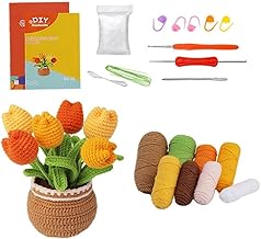 Kit de pot de fleurs en crochet à faire soi-même pour débutants avec guide vidéo étape par étape et tous les matériaux inclus (A)