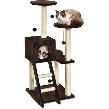 cat climbing structures