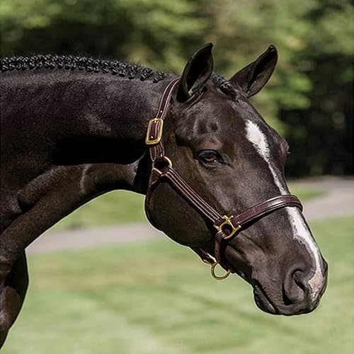 Saddlesworld Cabestro de cuero con triple costura  Cabestro hecho a mano para caballos  Cuenta con una garganta enrollada con broches  Viene con