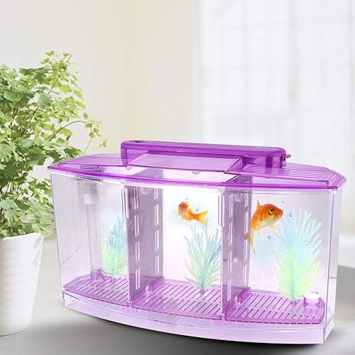 Acuario pequeño de acrílico de tres áreas, mini pecera, para Betta para peces pequeños (morado)