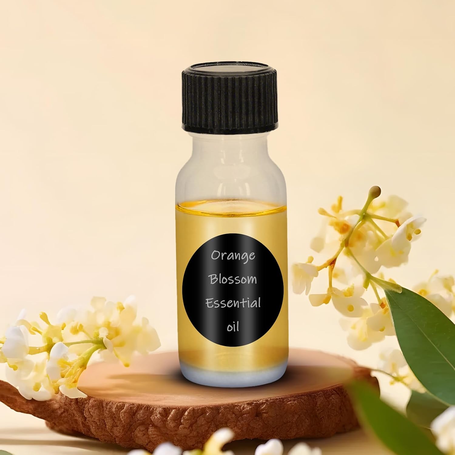 24Pcs Clear 0.5 oz Glass Boston Bottles with Black Poly Cone Cap, 15ML Round Glass Bottle for Essential Oil, Perfume and Liquid Boston Round Bottles (24)