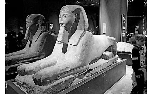 La Rivoluzione Di Un Museo. Le Origini Della Fondazione Museo Delle Antichità Egizie Di Torino - 4