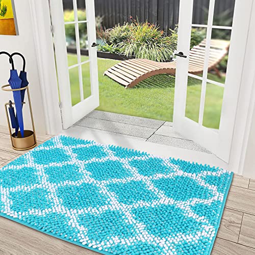 Goylser Doormat Dog Chenille Doormats Indoor Entrance, Mats Muddy For Pet Dog Cat, Christmas Door Mat Outdoor, Washable Indoor Mat For Mud Entry Indoor Busy Area Dogs Muddy Rug 24X17 Inch #TOP1