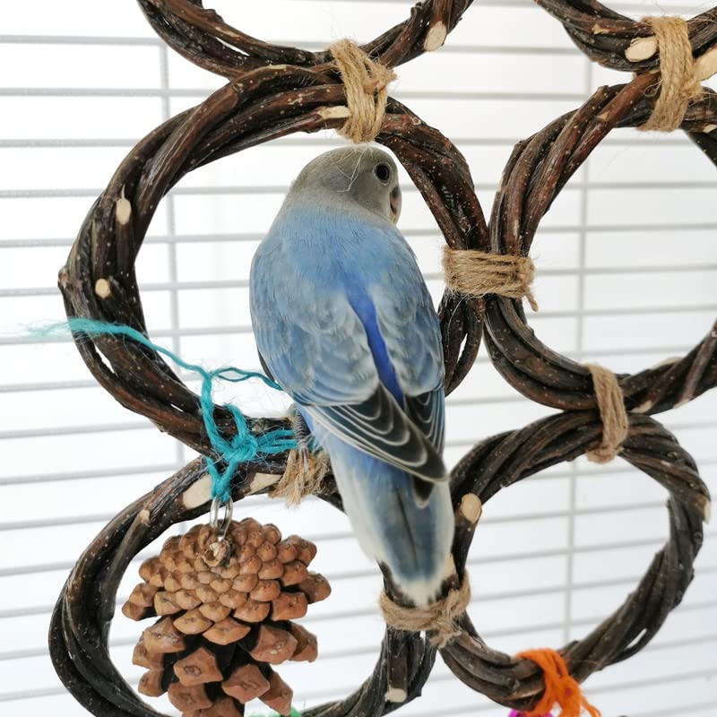 ArinkO Columpio de Madera para Loros con piñas para trepar y Tejer, Ideal para periquitos y cacatúas (Plata)