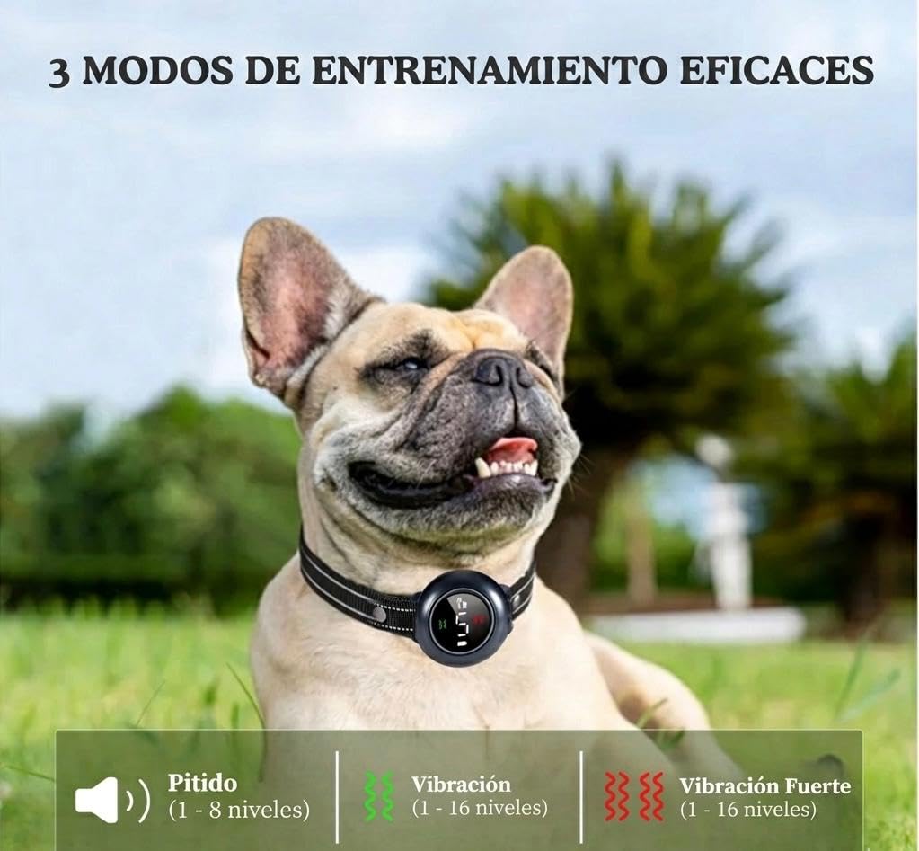2 en1 Collar de Adiestramiento para Perros y Collar Antiladridos para Perros, Sin Descargas Eléctricas, 3 Modos Pitido/Vibración/Vibración Fuerte, Alcance de 1000 m (3300 ft),5 Niveles de Sensibilid