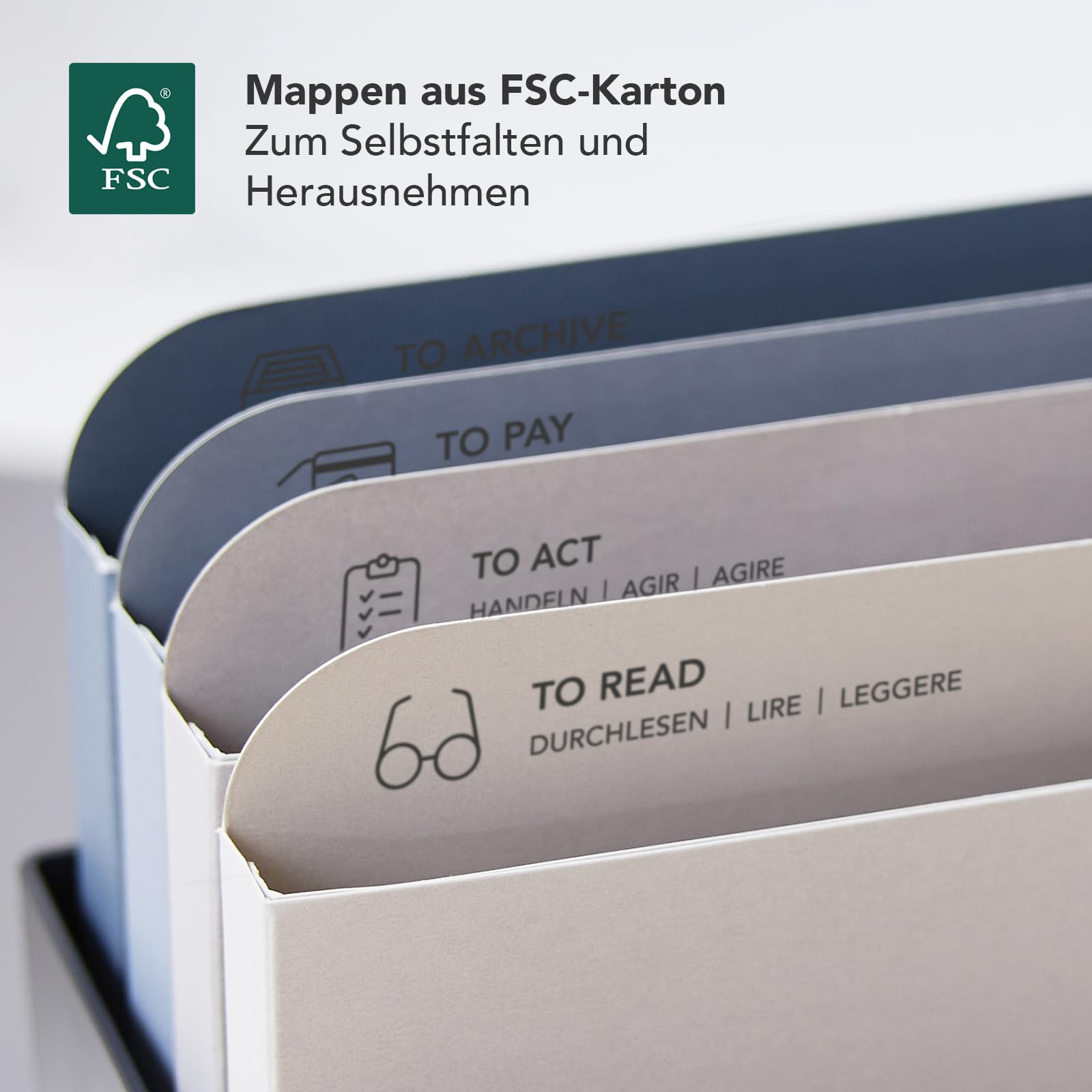 Rotho MyPaper Plus Dokumentenorganizer A4 | Schreibtisch Organizer für Büro und Homeoffice | Briefablage zum Hängen und Aufstellen | mit 4 Mappen aus Karton | perfekte Organisation | schwarz