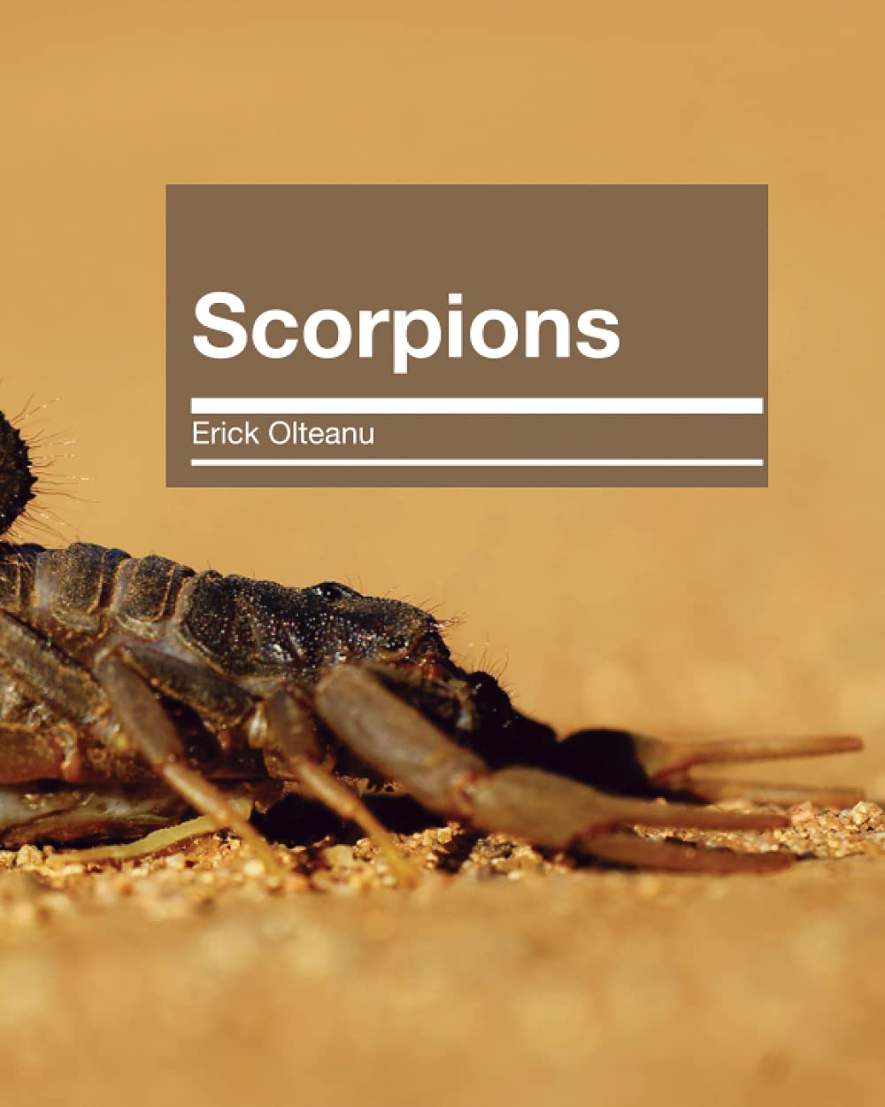 Scorpions (Animals)