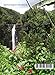 Hawaii 1 the Big Island: The Last State-The Big Island of Hawaii one of a four book series