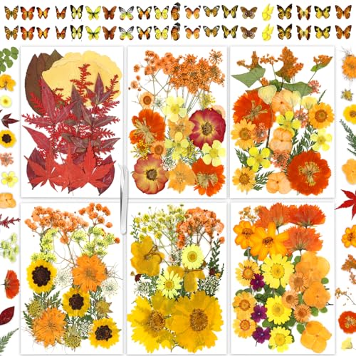 Image of 169Pcs Fall Dried Pressed Flowers for Resin, Real Natural Dry Floral Butterfly Decor for DIY Art Crafts, for Epoxy Resin Jewelry Molds Candle Jewelry Crafts