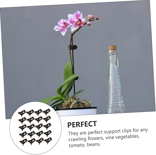 Miniatura 3 de Yardwe 150pcs Phalaenopsis Orchid Clip Pepino Plantas Plantas de Plástico Plantas Plantas en maceta Vegetales Soporte de Plantas Clip Clip de