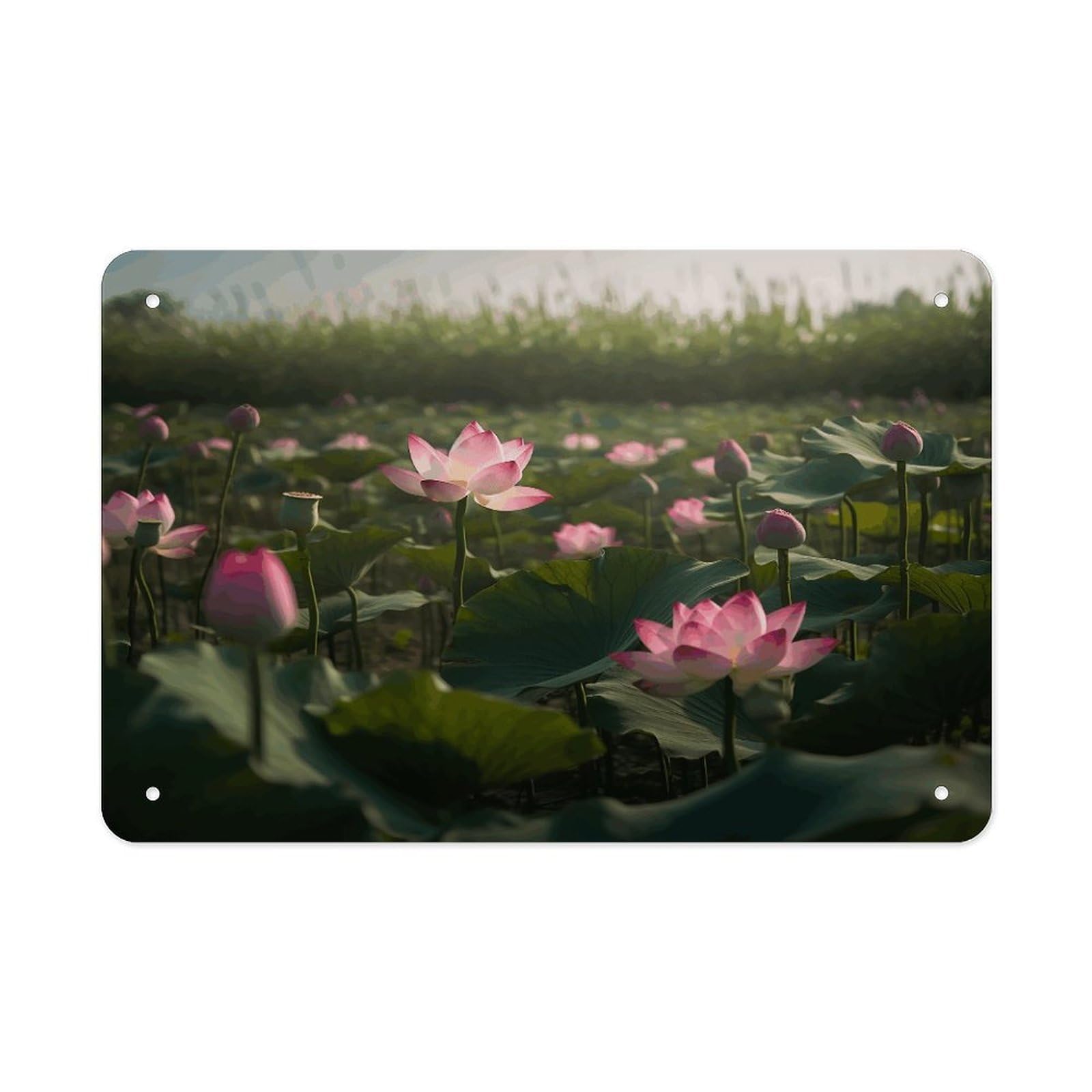 Fodpand Style Flower In Water Images Wall Art Metal Signs Tin Sign