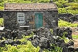  Home and Garden (English Edition)