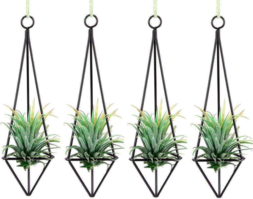 4 Pcs Iron Air Plant Stand Holder Air Plant Wall Hanger