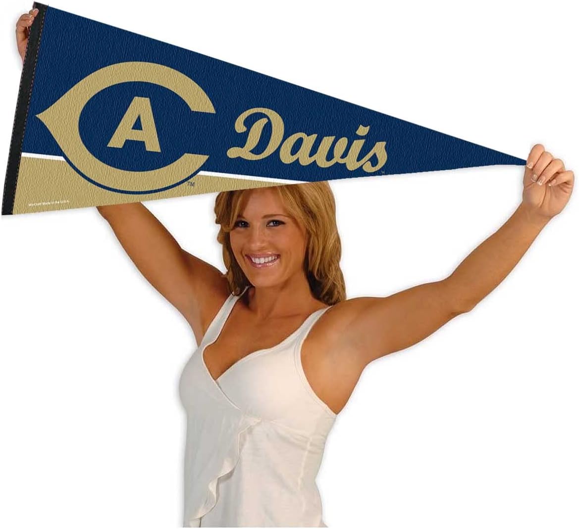 College Flags & Banners Co. Cal Davis Pennant Full Size Felt - Image 4