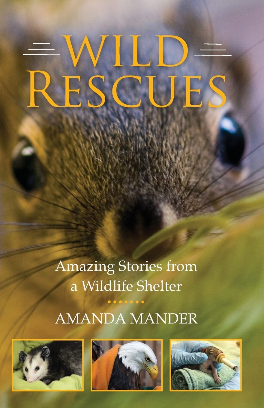 Wild Rescues: Amazing Stories from a Wildlife Shelter