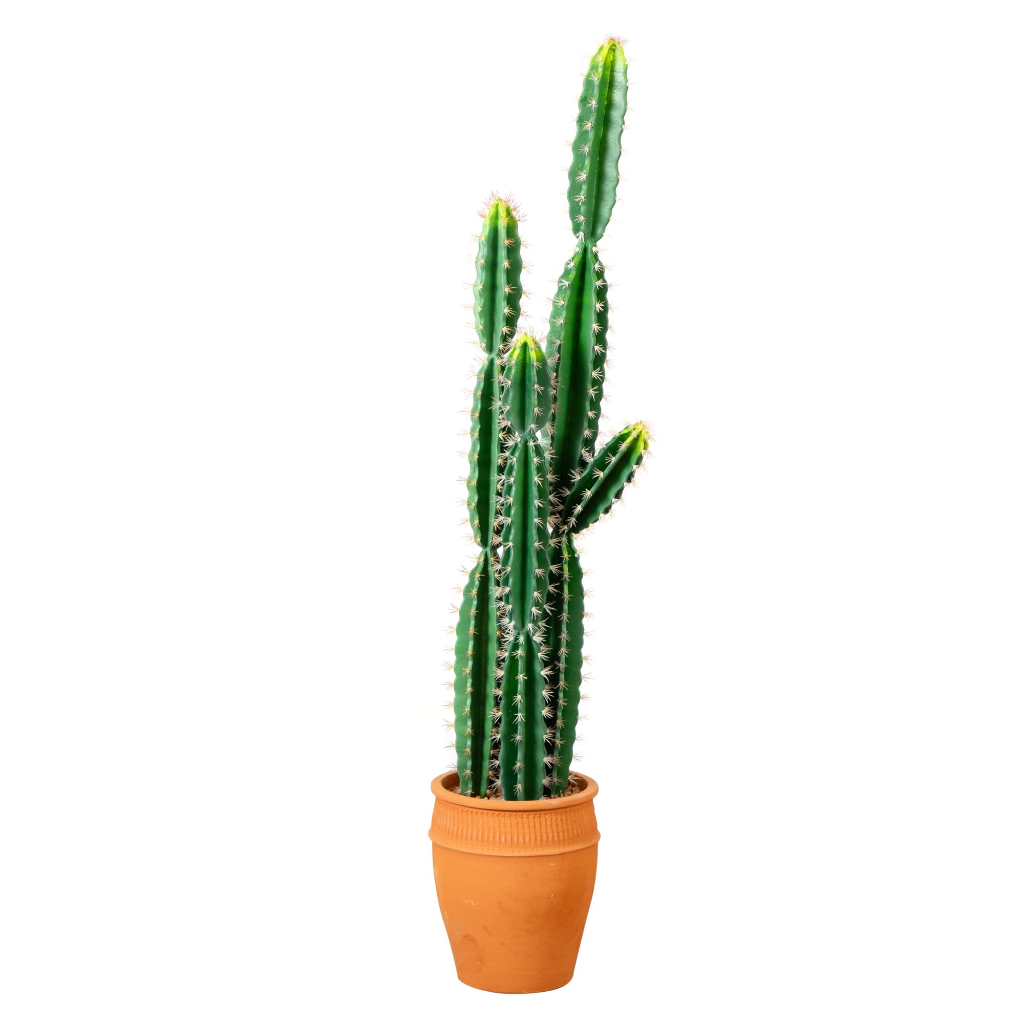Amazon.com: Nearly Natural 5ft. Artificial Cactus in Terracotta