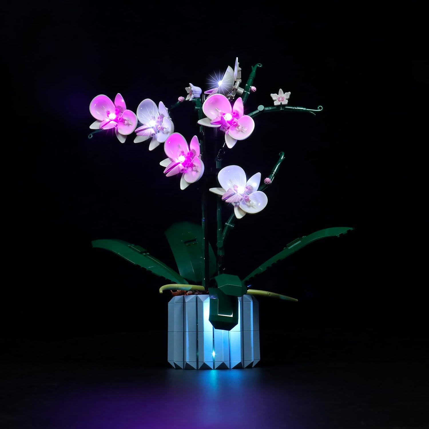 LED Light Kit for Lego 10311 Orchid Plant, ONLY Light Kit, Lego Model is NOT Included (Standard)