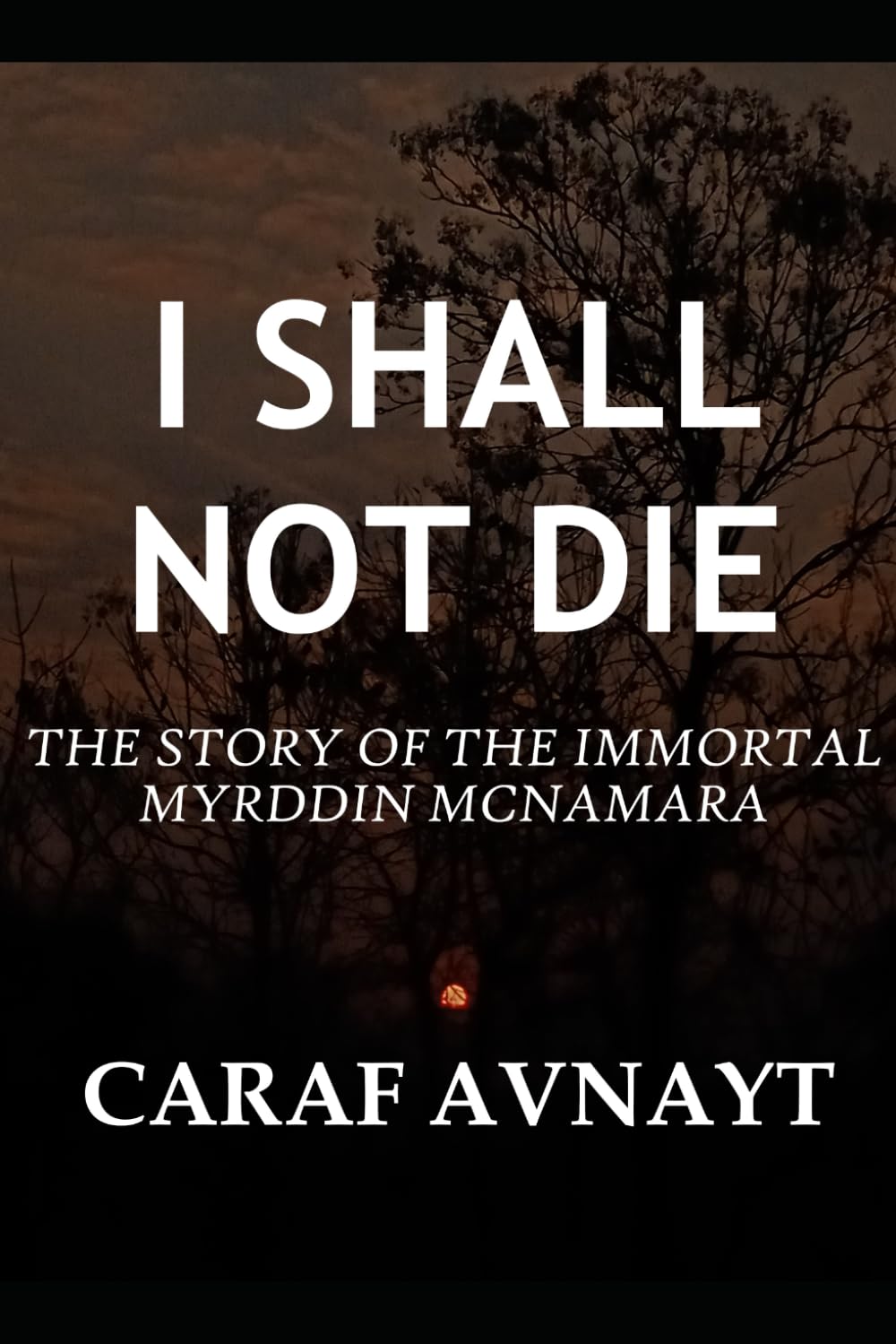 I Shall Not Die: The Story of the Immortal Myrddin McNamara