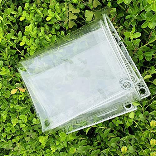 Lona impermeable para exterior transparente que protege terrazas de la lluvia 2