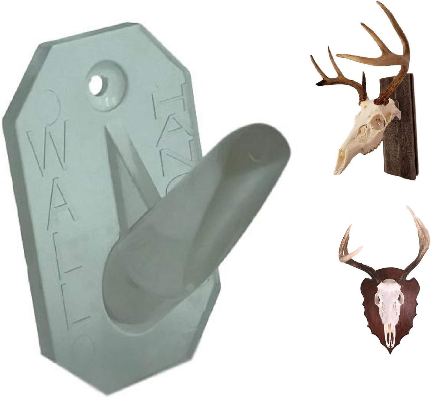 Wall Hangers European Skull Hanger Wall Mount Home & Kitchen