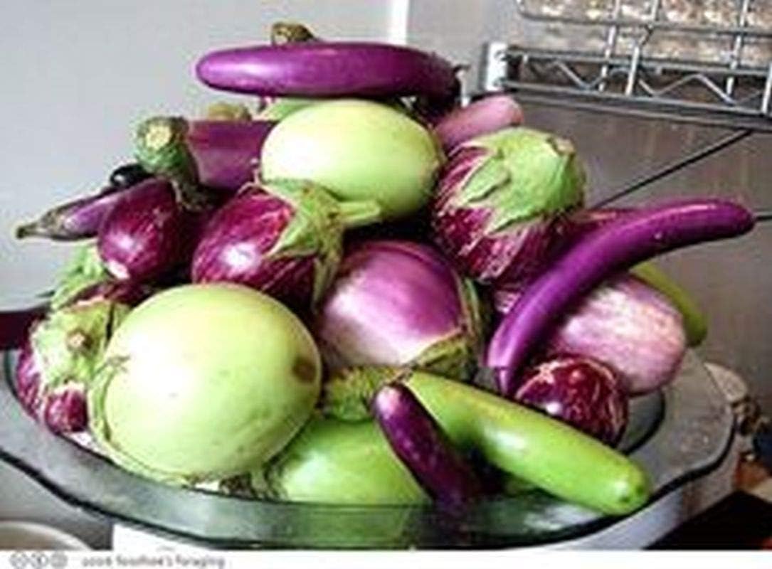 Gourmet Blend 15 Varieties Prolific and Super Delicious(300 - Seeds)