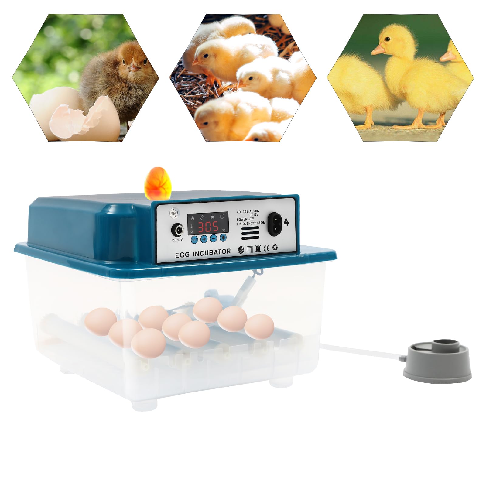 Incovatrice automatica 16 uova, temperatura controllo & automatico Egg Turner per varie uova, incubatrice polli, fagiani