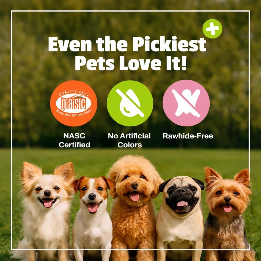 Mascota del Natural de Vermont Diario para Perros, para la Salud digestiva Probiótico Suplemento, 60 Bite tamaño Suave – Chucherías