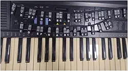 Marcador Notas Musicias Preto Piano Teclado 61 Notas Velvet