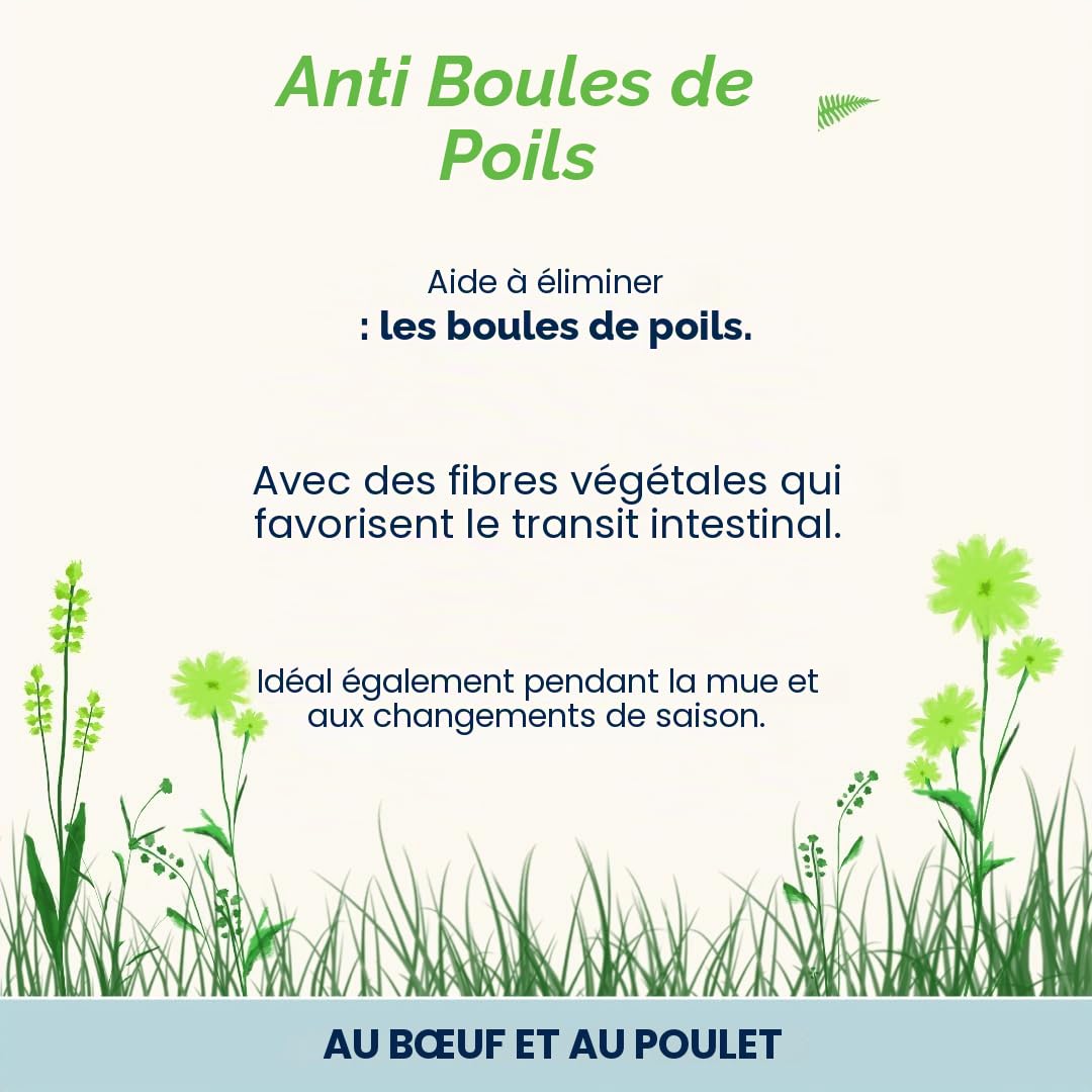 Almo Nature Functional - Anti Hairball - Nourriture Humide pour Chats Adultes et Matures - au Bœuf, au Poulet - Prévient la Formation de Boules de Poils - 70g (Lot de 6)
