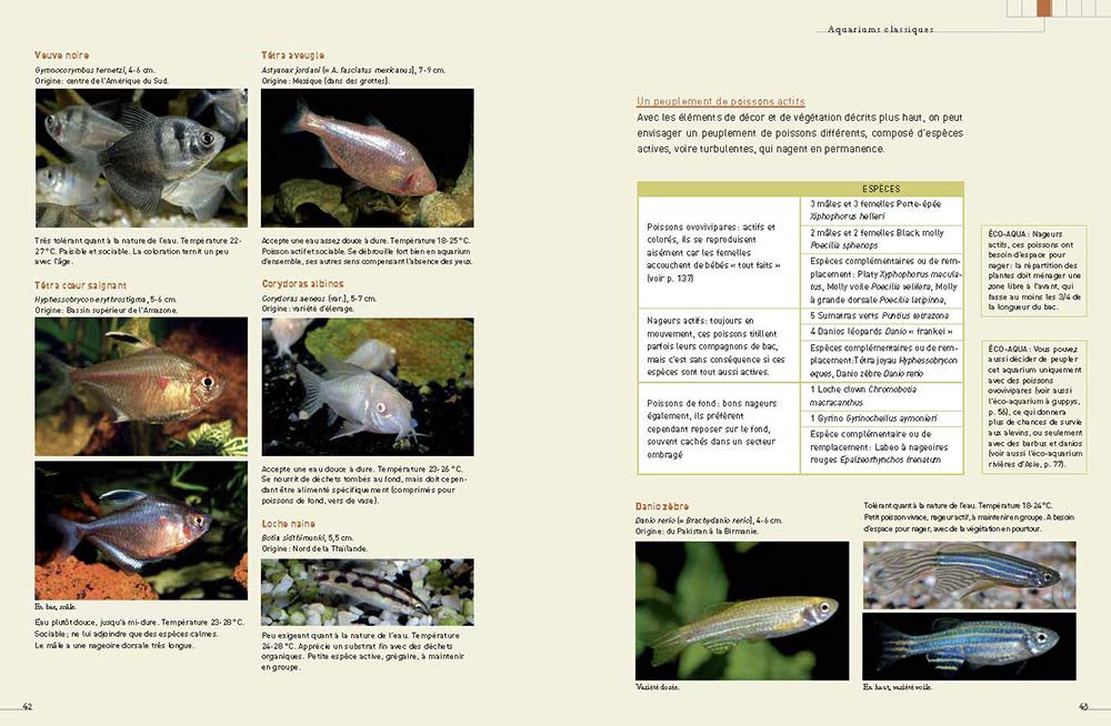 L'aquarium d'eau douce - Guide pratique du débutant