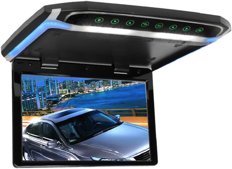 lettore dvd da tetto per furgone