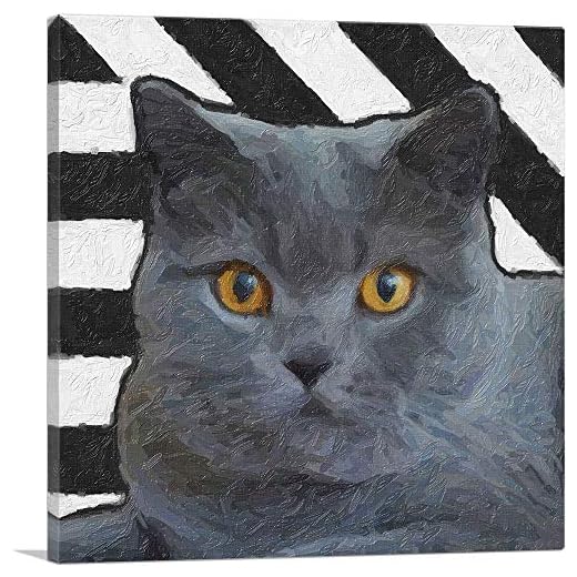 Chartreux Cat Canvas Art Print