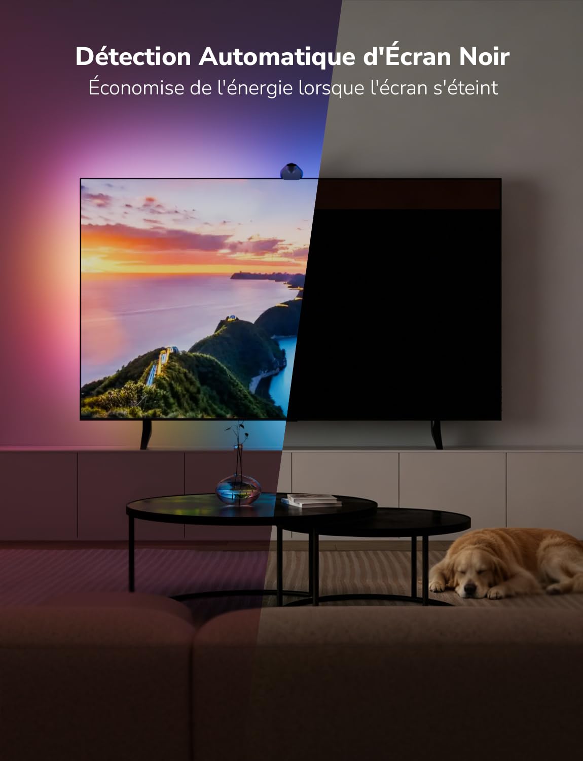 Lepro STV1 IA Rétroéclairage TV 3.6M pour TV 55"-65" avec Caméra