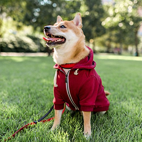 Adventure Zip Up Maroon Red Dog Hoodie With Hook & Loop Pockets And Adjustable Drawstring Hood - Available In Extra Small To Extra Large. Comfortable & Versatile Dog Hoodies By Ellie (Xxs) #TOP4