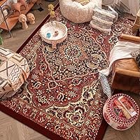 洗える　キリムラグ　200×250cm ラグマット　アンティーク　絨毯　おしゃれ Amazon｜[ハウスXIN] 民族風 ラグ アンティーク調 絨毯 キリム柄