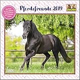  Pferdefreunde 2019 - Broschürenkalender - Kinder-Kalender - Format 30 x 30 cm