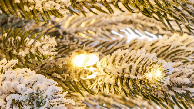 no.0350  イソバナ珊瑚とフロストツリー Amazon.com: Yaheetech 3FT Pre-lit Potted Flocked Christmas Tree