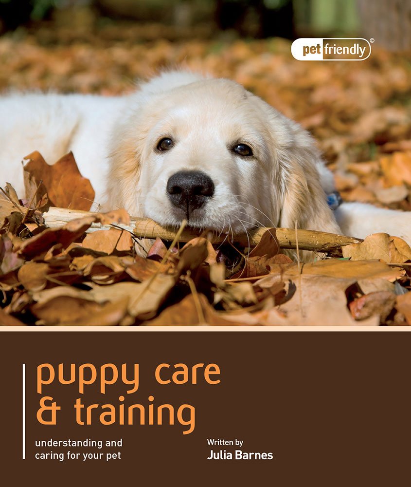Puppy Care & Training - Pet Friendly: Understanding and Caring for Your Pet